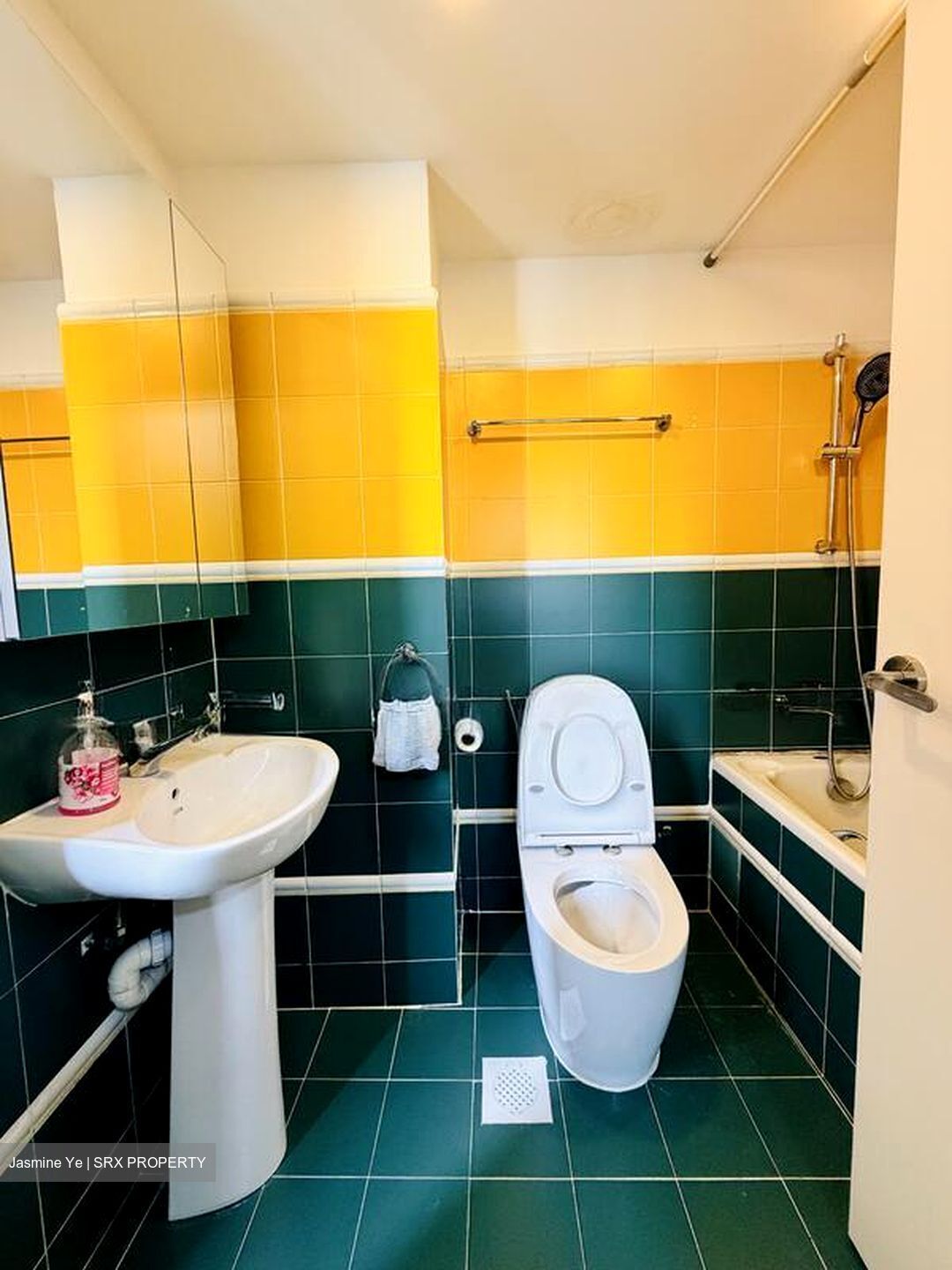 Pandan Valley (D21), Condominium #504118491